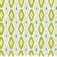 Explore Cactus - Curtains