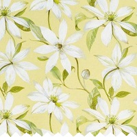 Emily Primrose - Roman Blinds